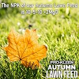 Pro-Kleen Autumn Lawn Feed 2.5kg - Green Up & Disease Prevention view 8