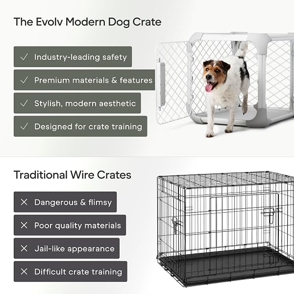DIGGS EVOLV DOG CRATE – SLIM, DURABLE DOG KENNEL WITH REMOVABLE CEILING PANEL AND MODULAR DESIGN – SAFE, STYLISH, AND CONVENIENT (ASH, SMALL)