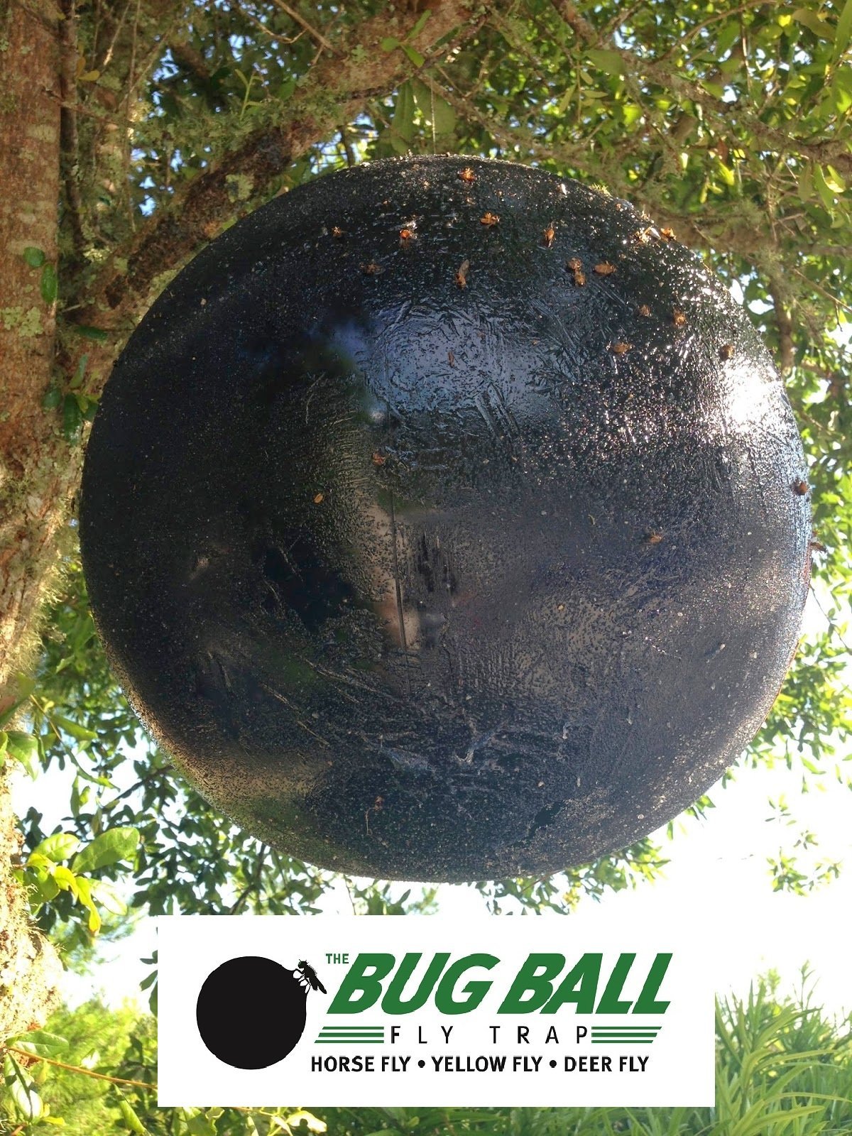 60 / Pk Deerfly Patches / TredNot Deer Fly Patch "natural