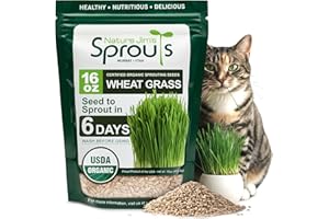 Nature Jims Sprouts Wheat Grass Seeds – Non-GMO Organic Seeds for Planting, Cat Grass Kit Planter & Sprouting –Resealable Bag for Fresh Wheatgrass Sprouts – Packed with Vitamins, Fiber & Minerals–16oz