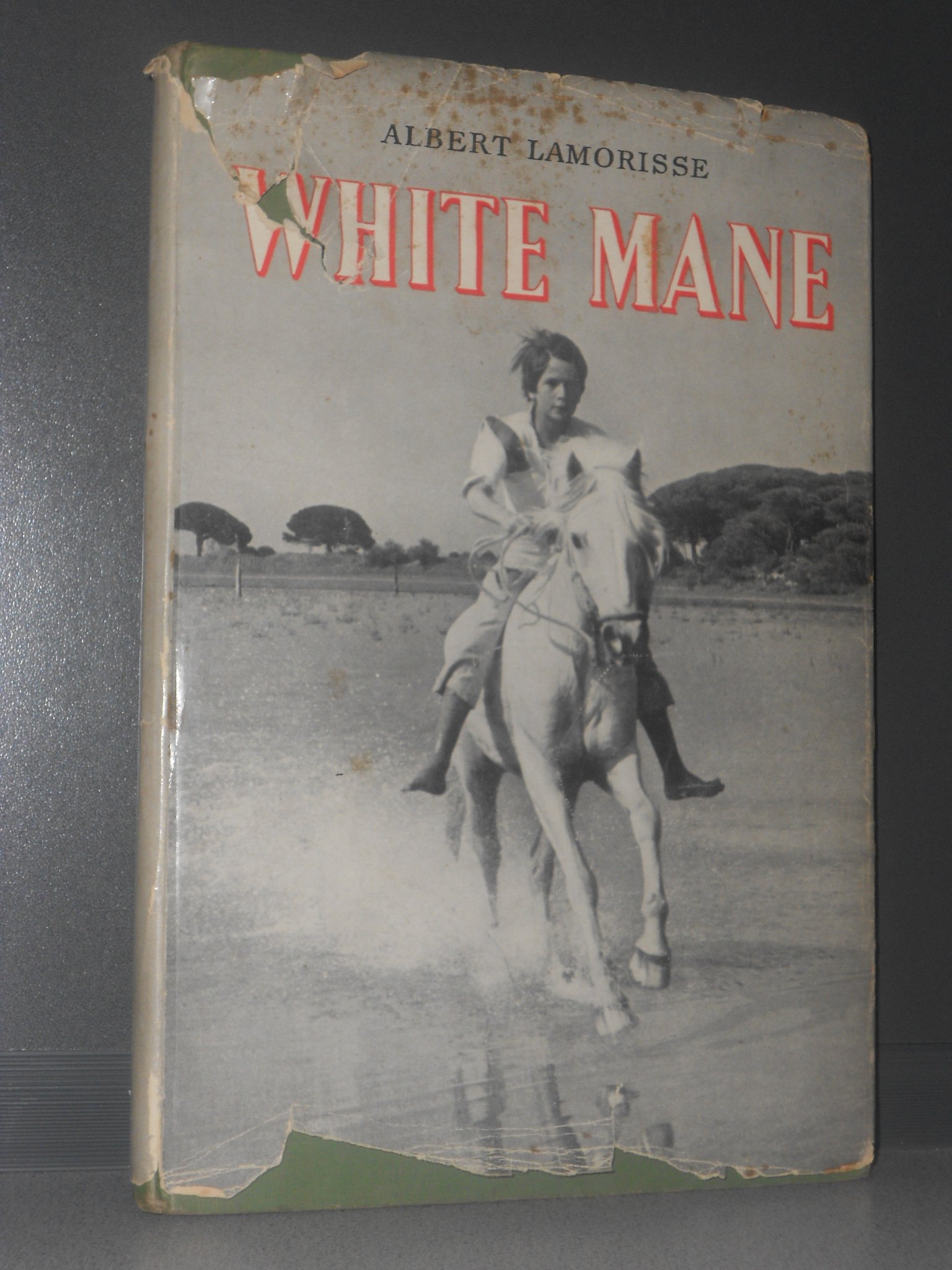White Mane Albert Lamorisse Denys Colomb De Daunant Amazon Com Books