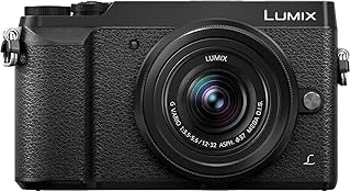 Panasonic Lumix DMC-GX80