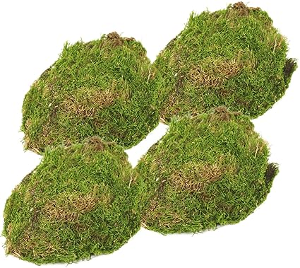 com-four® 4X grünes DIY Bastel-Moos - echtes Deko-Moos zum Basteln und Dekorieren - ca. 25 g je Beutel (4 Stück - Deko Moos)