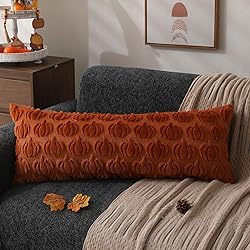 DFXSZ Fall Pillow Covers 14x36 Set of 1 Fall