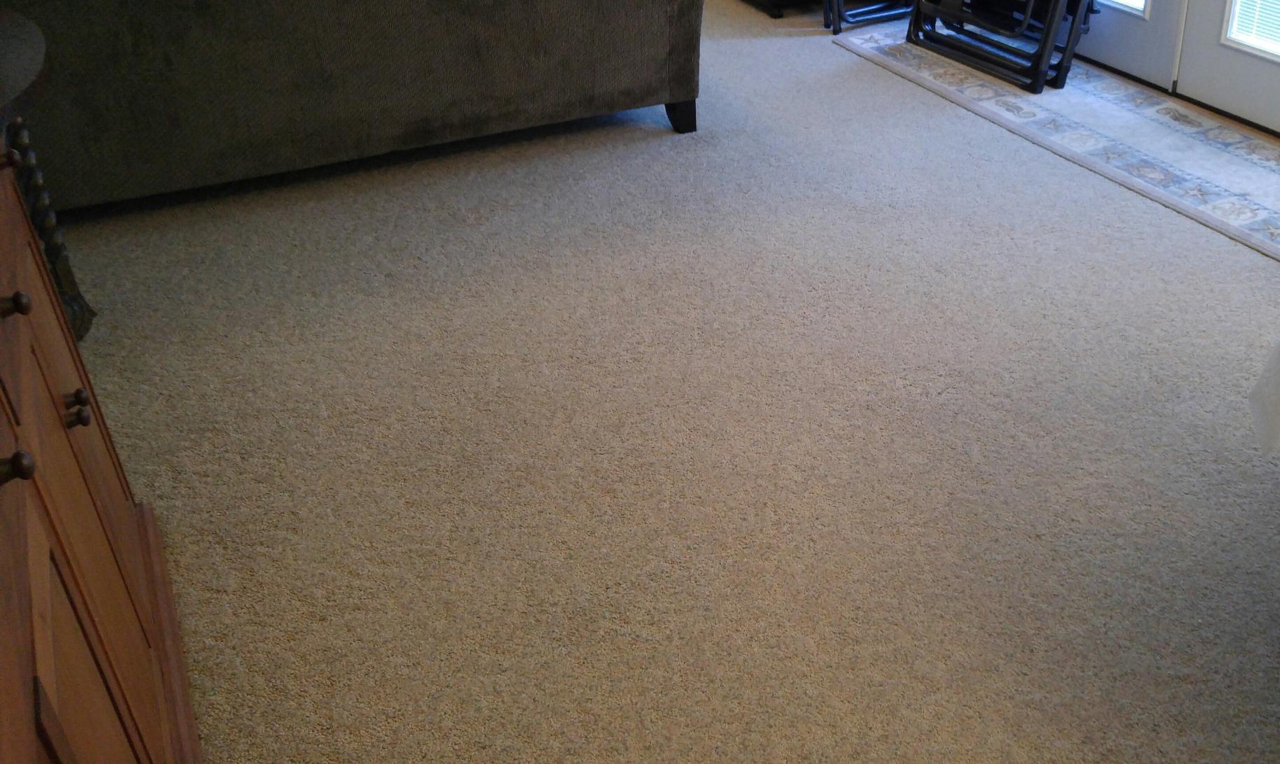 2/mo Finance Blue Magic 900 Carpet Stain & Spot Lifter 22 oz