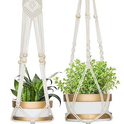 Pack of 2 Ceramic Hanging Planter with Tray for Jamaica | Ubuy