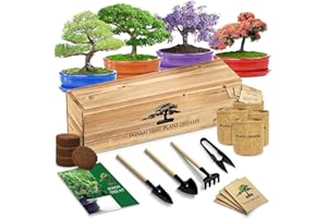 LUOJIBIE Bonsai Tree Starter Kit for Beginners - Indoor Live Plant Gardening Adult Craft DIY Kits - Unique Christmas, Birthday, White Elephant Gifts for Women, Men & Kids