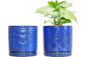 YFFSRJDJ Ceramic Pots for Indoor Plants with Drainage Holes and Saucers, Ceramic Planter for Plants, Flower Pot - Set of 2