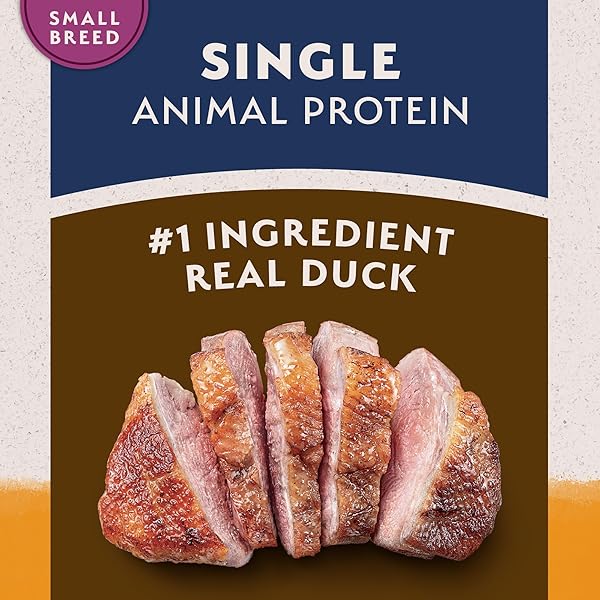 NATURAL BALANCE LIMITED INGREDIENT SMALL-BREED ADULT GRAIN-FREE DRY DOG FOOD, RESERVE DUCK & POTATO RECIPE, 12 POUND (PACK OF 1)