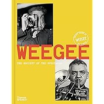 Naked City: Weegee, Arthur Fellig: 9780306812040: Books - Amazon.ca