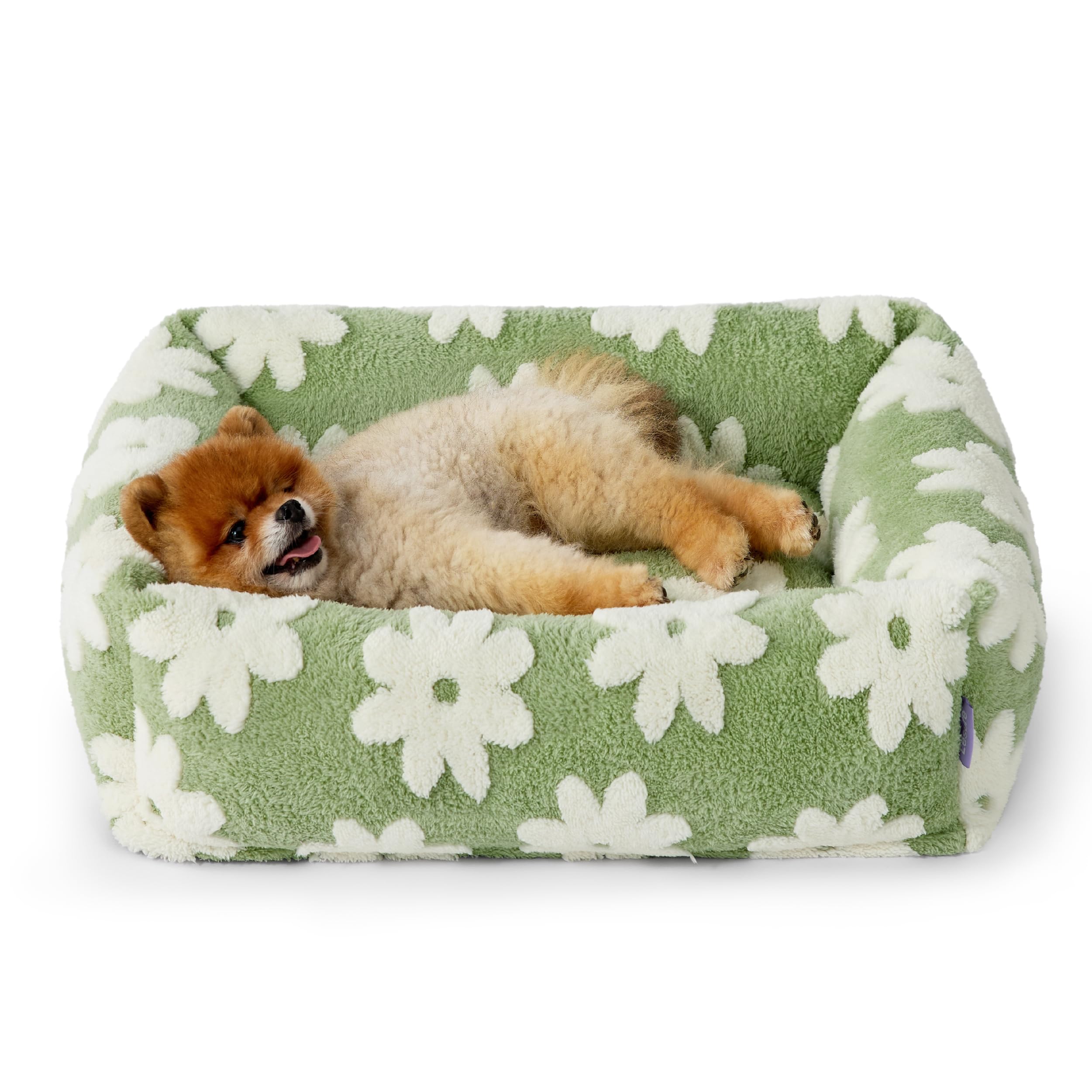 Photo 1 of Lesure Cute Dog Bed for Small Dogs - Washable Puppy Beds,Cozy Rectangle Orthopedic Pet Sofa with Jacquard Shaggy Plush & Anti Slip Bottom,25x21x7inches