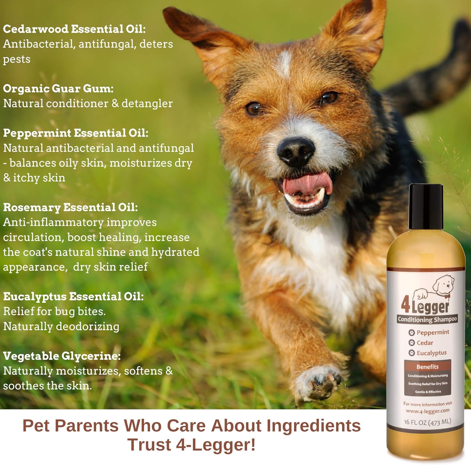 organic dog conditioner