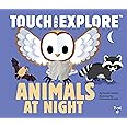Touch and Explore: Animals at Night (Touch and Explore, 10)