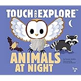 Touch and Explore: Animals at Night (Touch and Explore, 10)