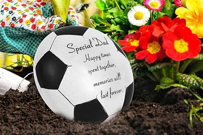 David Fischhoff Special Dad Football Memorial Plaque 3 Colours