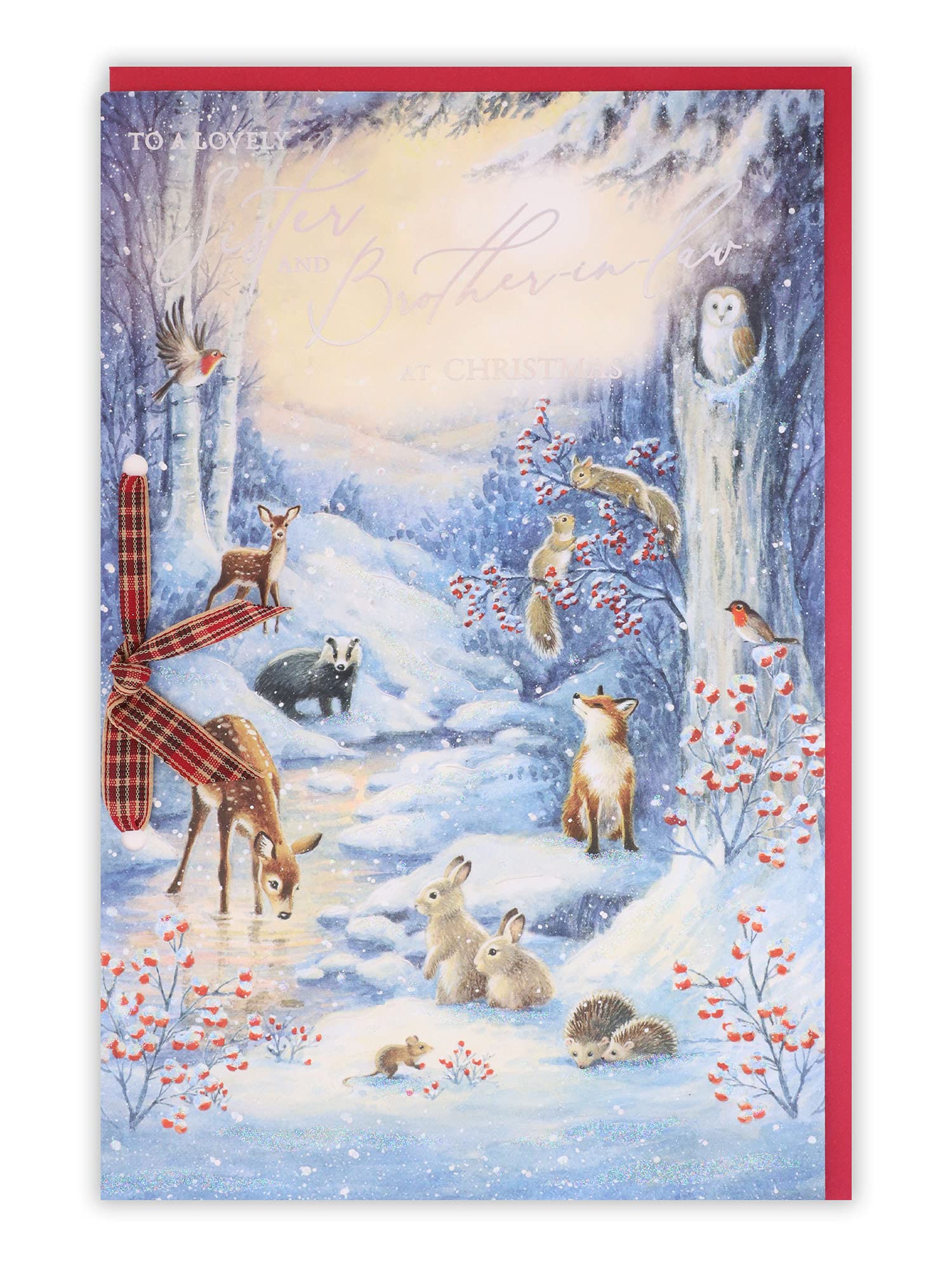 Clintons: Animals In Snowy Frost Scene Sister & Brother In Law Christmas Card, Multi-Colour, 155 x 235, 1171337