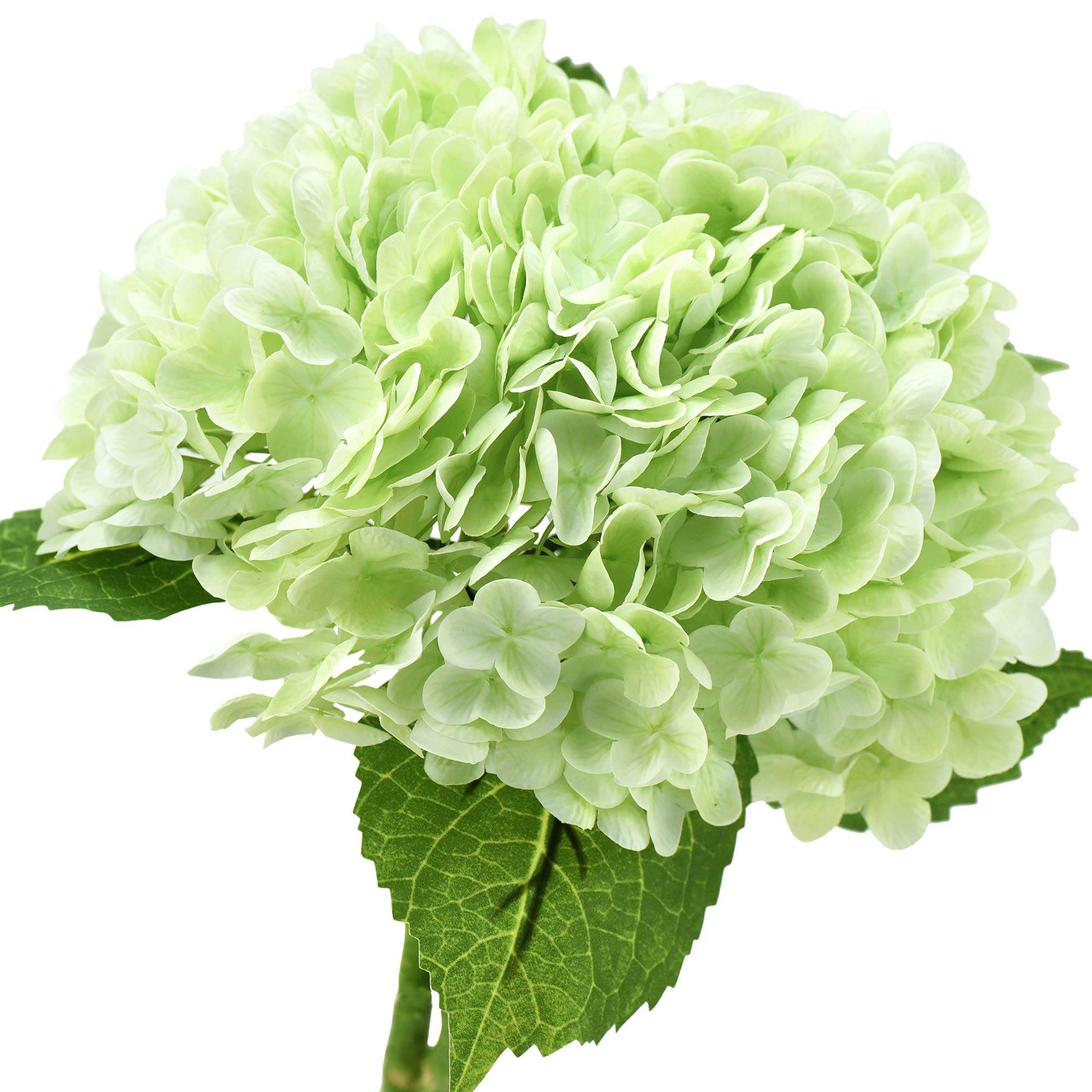 FiveSeasonStuff Real Touch Silk Pale Green Hydrangea Flowers, 2 Large Long Stems Artificial Flowers for Floral Decoration Arrangements