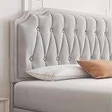 Yaheetech 4ft6 Double Bed Frame Upholstered Platform Beige Velvet Headboard view 8