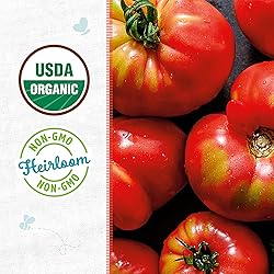 Back to the Roots 100% Organic Seed Packet - Tomato