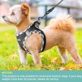 haapaw Dog Harness and Lead Set No Pull Reflective Step-in Size XS-SM view 4