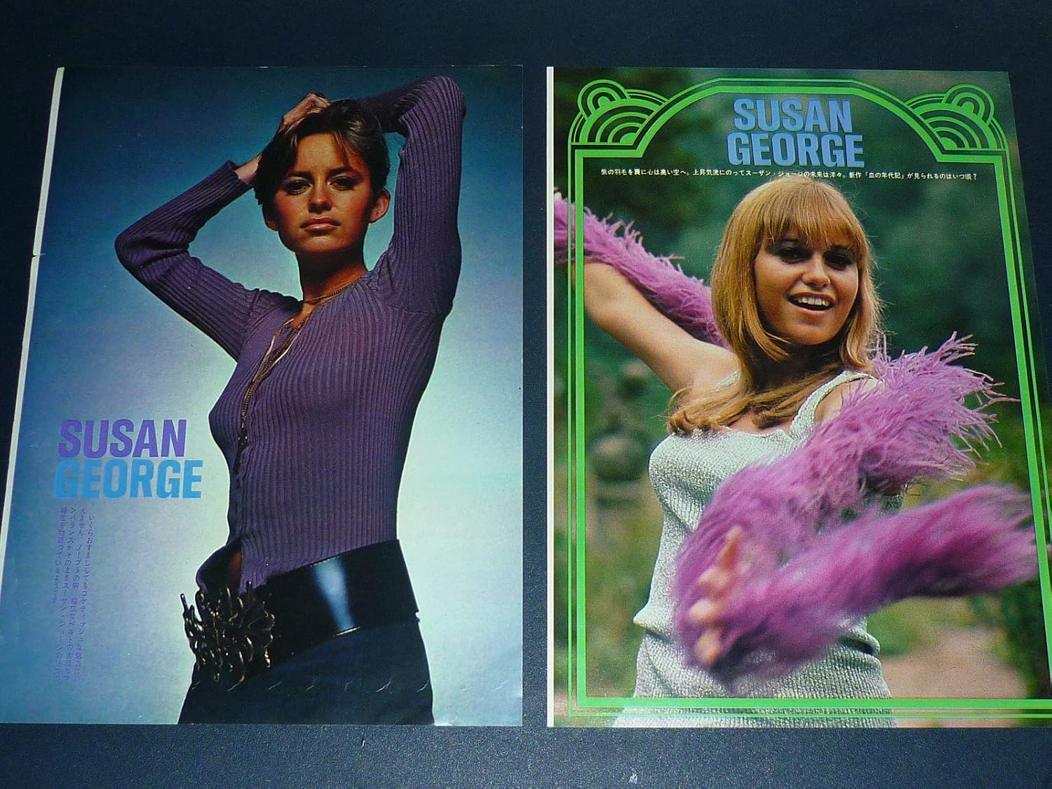 Amazon 映画女優 スーザン ジョージ 1970年代雑誌切り抜き 40枚セット Susan George わらの犬 ダーティ メリー クレイジー ラリー アイドル 芸能人グッズ 通販