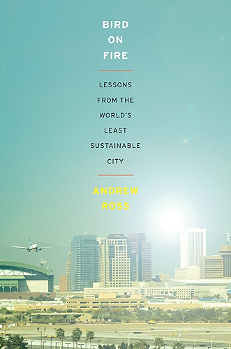 Download Bird on Fire: Lessons from the World's Least Sustainable City (English Edition) PDF
