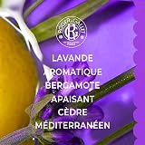 Roger & Gallet Royal Lavender Eau Fraîche 100ml Aromatic Woody Provence Scent view 3
