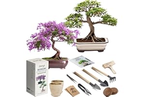 AVERGO Bonsai Growing Seed Kit - 2X + 1 Extra Japanese Bonsai Trees | Complete Indoor Starter Kit for Growing Bonsai Trees + Tools + Planters | Gardening Gifts for Women & Men…