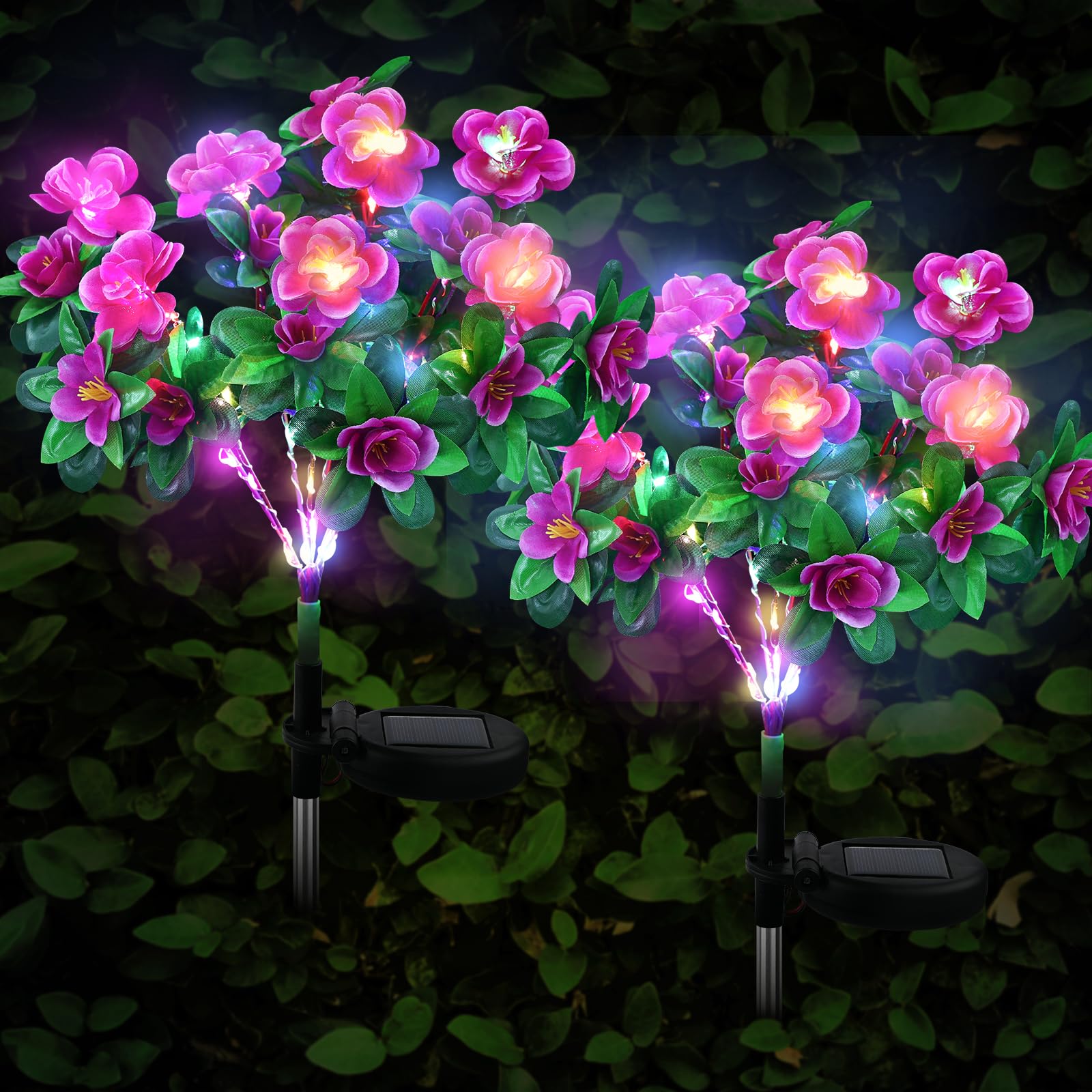 FWLWTWSS Solar Flower Lights Outdoor Garden - 2 Pack Rhododendron Solar Lights, Powered Waterproof with 21 Small Rhododendron Flowers, Garden Ornaments Outdoor (Purple)