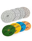 Panfreet 4"/100mm 4 Step Polishing Diamond
