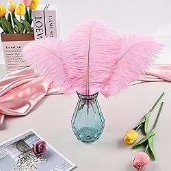 THARAHT Pink Ostrich Feathers 24pcs Natural Bulk