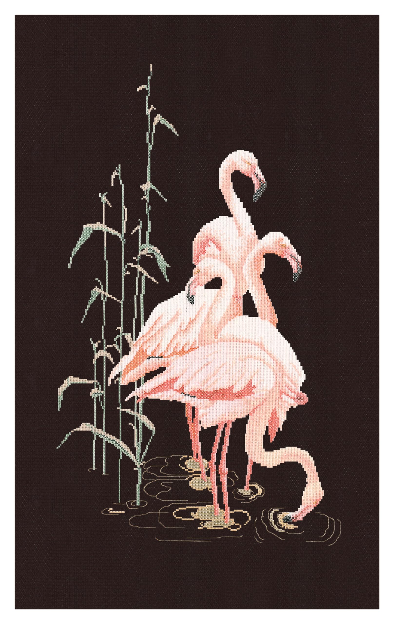 Thea Gouverneur - Counted Cross Stitch Kit - Flamingo - Aida Black - 18 Count - Embroidery Kit for Adults - DMC Embroidery Threads and Other Cross Stitch Supplies Included - 1070.05