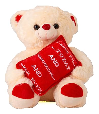 gift for girlfriend amazon india