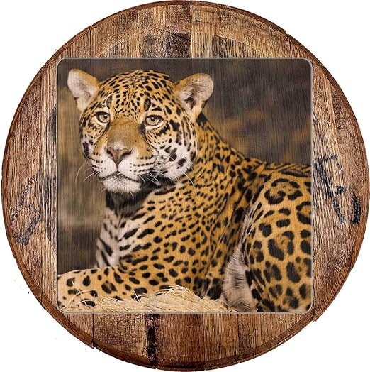 Amazon Com Barrel Top Bar Sign African Leopard Wildlife Cheetah