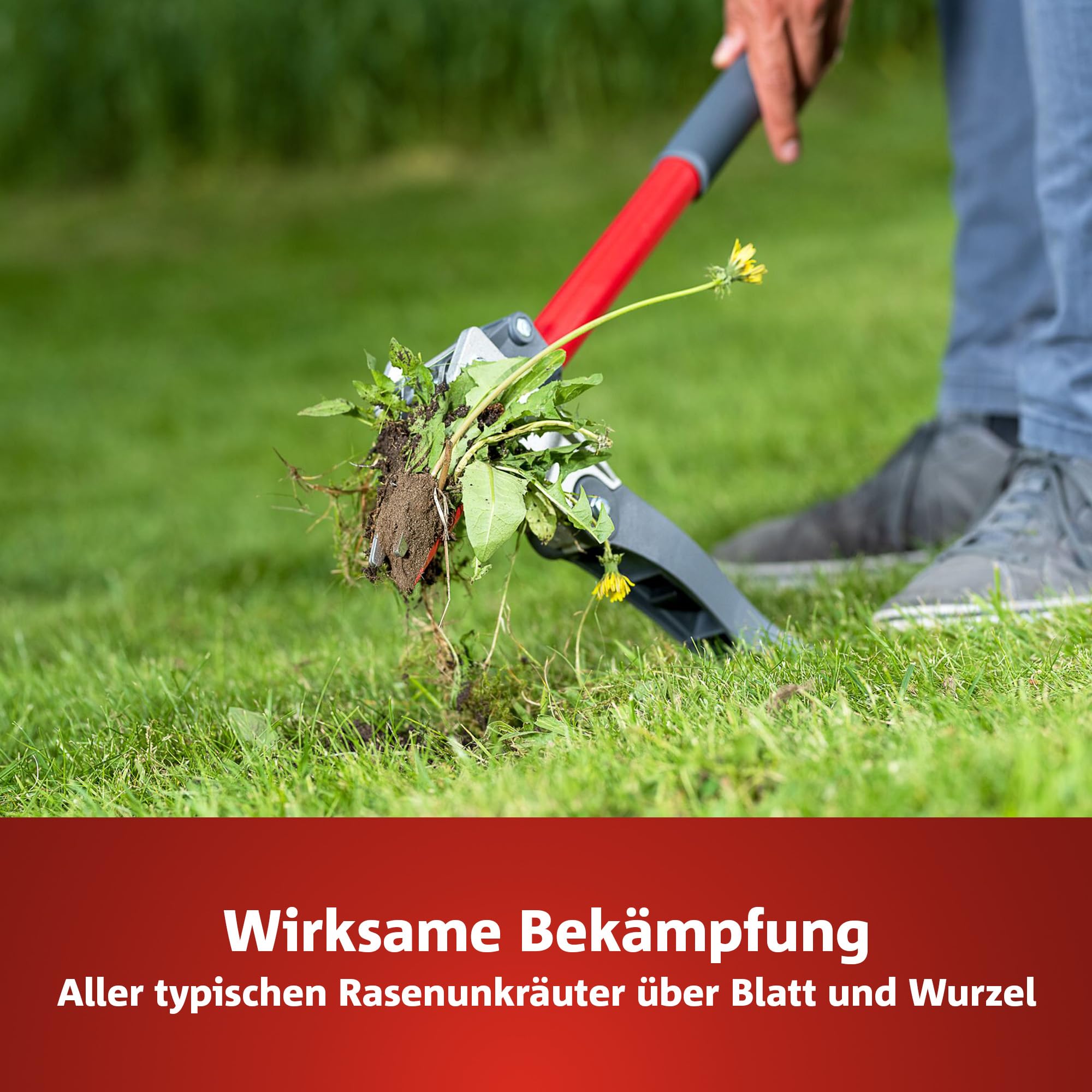 WOLF-Garten 2-in-1: Unkrautvernichter + Rasendünger SQ 120 (Rasendünger und Unkrautvernichter, wirkt über Blätter und Wurzeln, Wirkung bis zu 100 Tagen, ausreichend bis 120 m2) 3840720 3