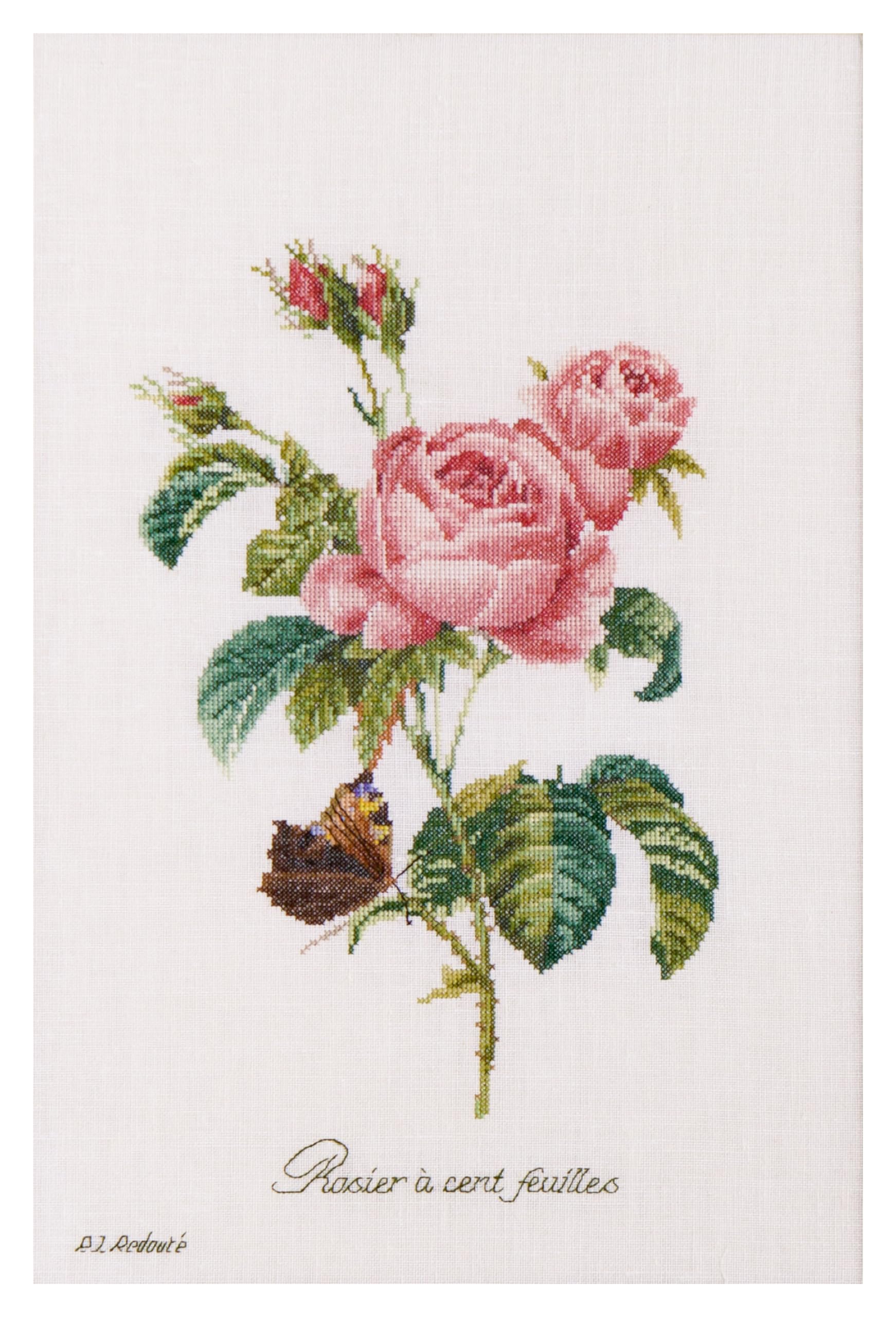 Thea Gouverneur - Counted Cross Stitch Kit - Rose Redouté - Aida - 18 Count - Embroidery Kit for Adults - DMC Embroidery Threads and Other Cross Stitch Supplies Included - 2030A