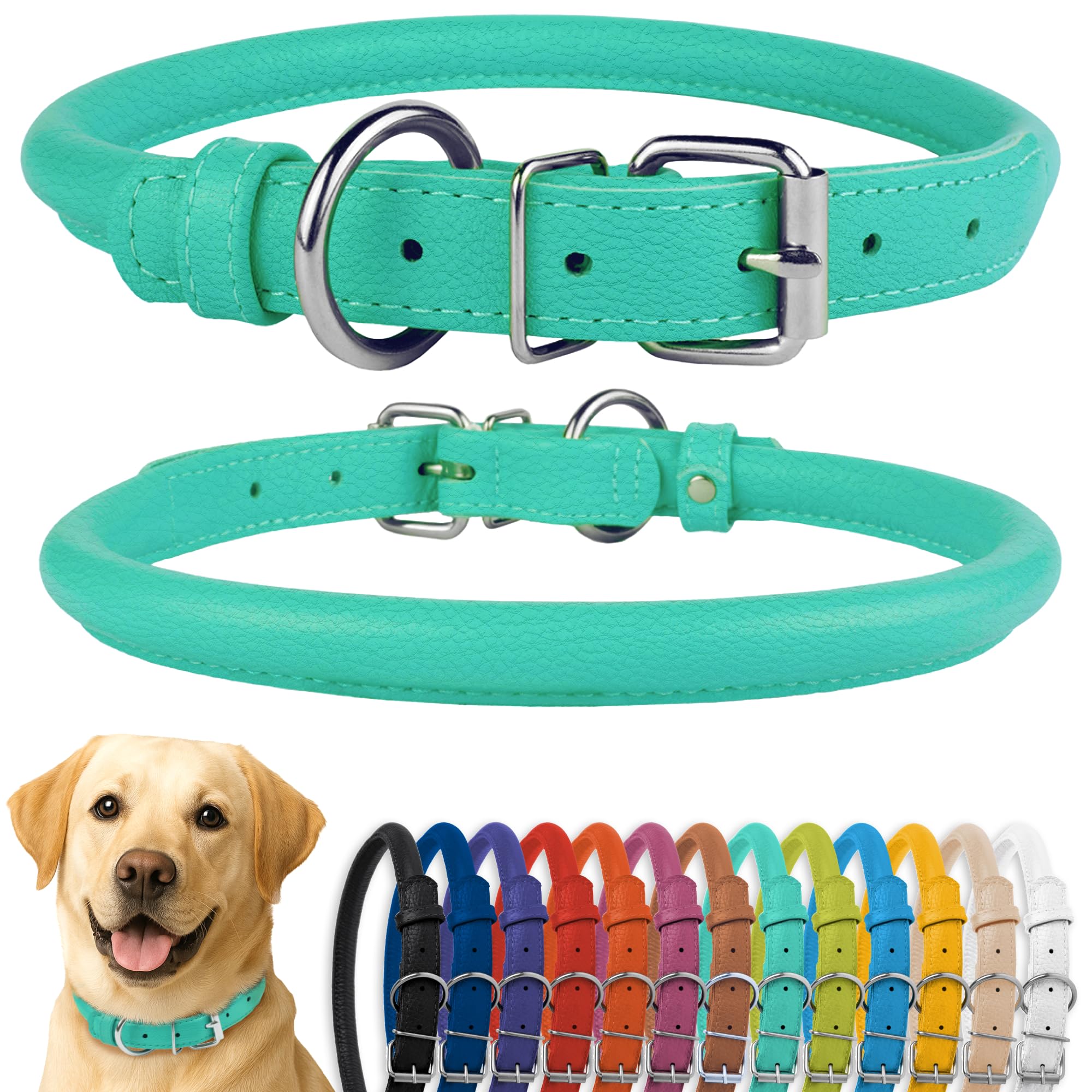 CollarDirect Rolled Leather Dog Collar, Soft Padded Round Puppy Collar, Handmade Genuine Leather Collar Dog Small Large Cat Collars Black Pink Red Purple Blue (Fits 20"-23" Neck, Mint Green)