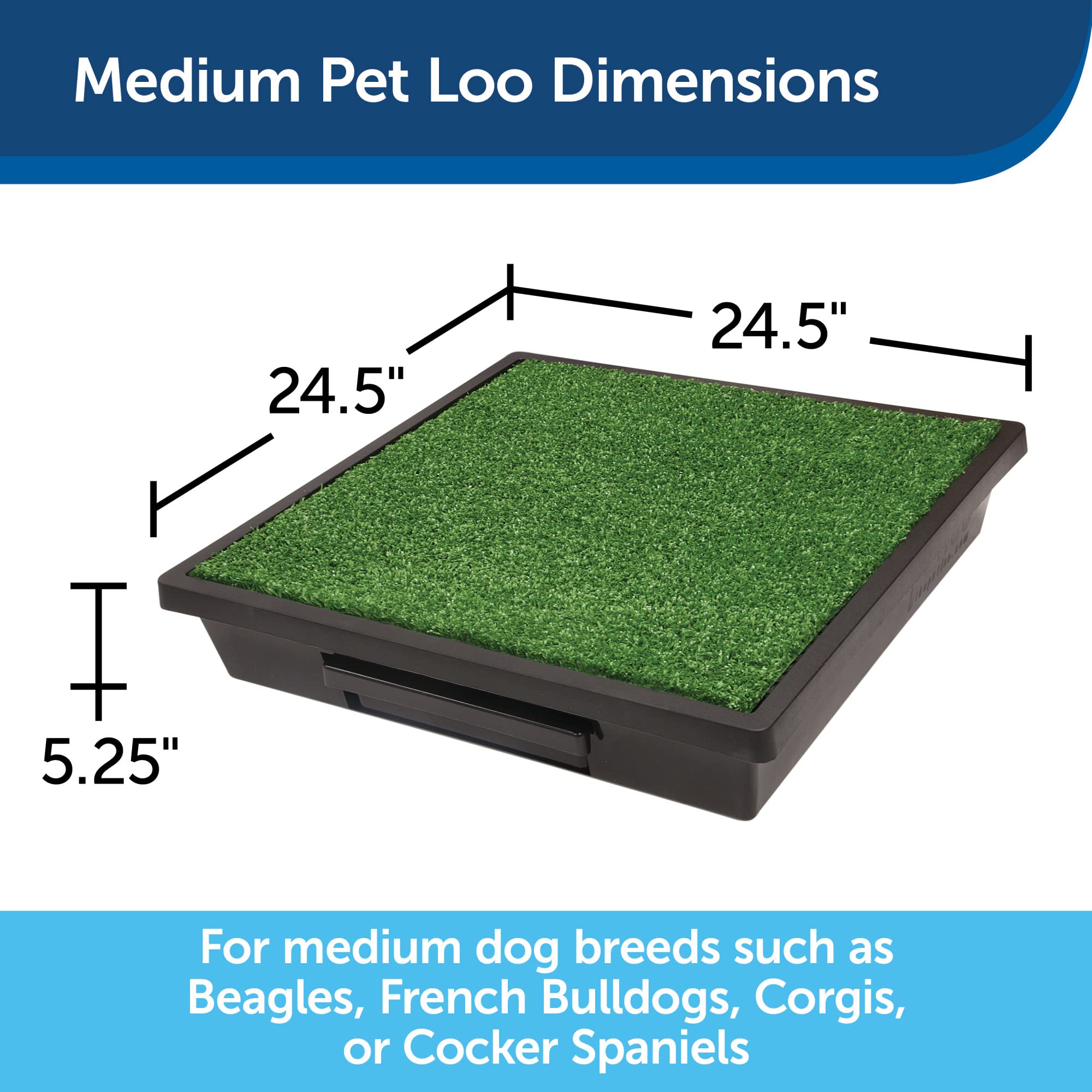 PetSafe Pet Loo Portable Dog Potty - Pet Toilet Alternative for Puppy Pads - Medium - Perfect for House Training - Easy-to-Clean Grass Mat