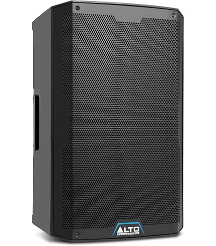 Amazon.com: Yamaha BR15 15-inch 2-Way Loudspeaker : Musical