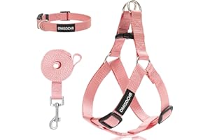 IPRAVOCI No Pull Dog Harness - Adjustable Step-in Harness & Leash Set for Small, Medium, Large Dogs - Escape Proof Soft Pet Harness for Walking, Training, Hiking, Outdoor Activities