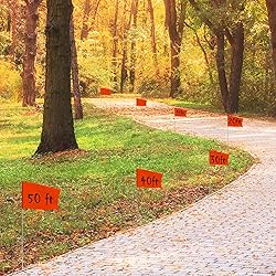 Zozen 100Pack Red Marking Flags, Writable/15x4x5