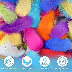 600 Pcs Feathers for Crafting, 3-5 inch Craft