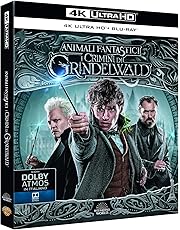 Animali Fantastici - I Crimini di Grindelwald