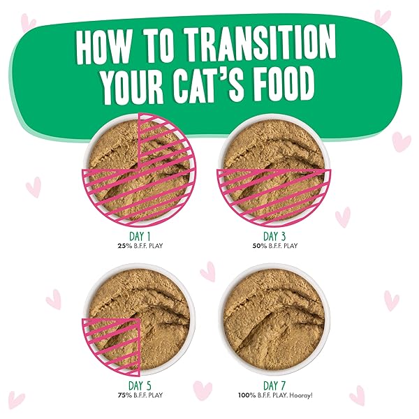 WERUVA B.F.F. PLAY – BEST FELINE FRIEND PATÉ LOVERS, AW YEAH!, TUNA & TURKEY TOTES! WITH TUNA & TURKEY, 3OZ POUCH (PACK OF 12)