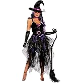 Dreamgirl Womens Sexy Gothic Witch, Adult Boo-tiful Witch Halloween Costume