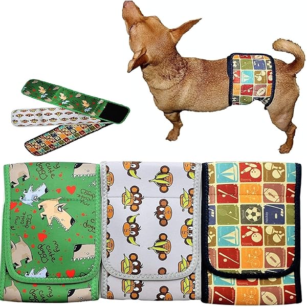 dog belly band walmart