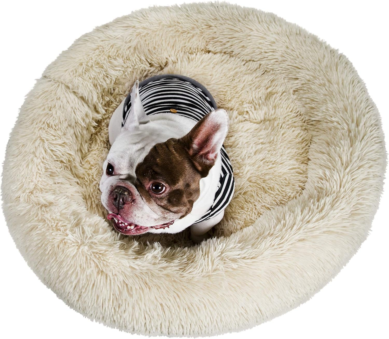 pawthread dog bed