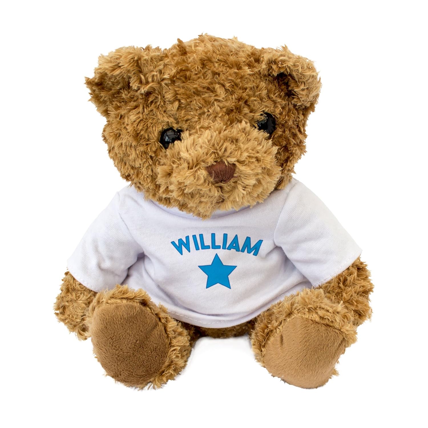 NEW WILLIAM Teddy Bear - Cute And Cuddly - Gift Present Birthday Xmas