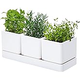 D'vine Dev Herb Garden Planter Set, Plastic Plant Pots with Drainage and Saucer, Indoor Succulent Cactus Vegetable Pot for Windowsill, Garden Balcony, White, Set of 1, 76-V-A-1