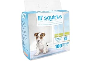 Ruffin' It Lil' Squirts Puppy Training Pads 100 Pk.